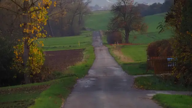Gerader Wirtschaftsweg, bergab führend . An den Rändern Büsche und Wiesen