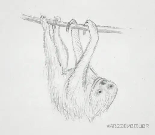 Bleistiftskizze mit wenigen Strichen. Ein zotteliges Faultier hängt an einem dünnen Ast. Es guckt schräg an uns vorbei.