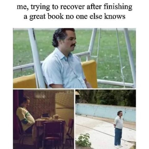 Meme with three pictures of the actor playing Pablo Escobar in Narcos looking dejected in diffrent places.
Caption: me, trying to recover after finishing a great book no one else knows