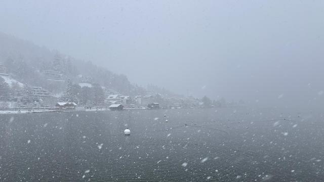 Low-visibility view of lake Ägeri while it’s snowing big fluffy flakes. Buildings and a forested hillside can be seen through fog on the left side.