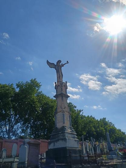 An Australian Magpie sits on the extended finger of a stone angel monument upon a grave site.
