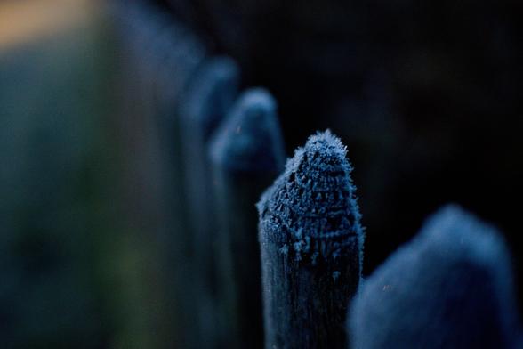Ein Holzzaun mit Spitzen oben. Er führt von Rechts unten nach links oben. Eine Spitze nur Scharf. Die restlichen im Bokeh unscharf. Frost überall.