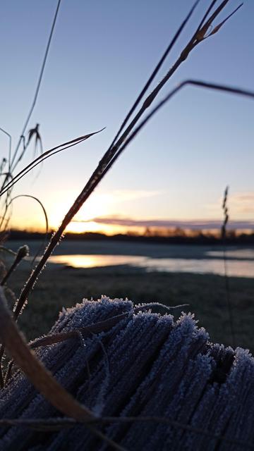 Ein mit Frost besetzter Holzpfahl. Im Hintergrund ein unter Wasser stehendes Feld und der Sonnenaufgang.