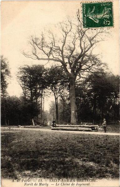 Saint-Nom-la-Breteche Foret de Marly - Le Chene de Joyenval à #SaintNomlaBretèche (#Yvelines)  #CartePostaleAncienne 👉 https://cartorum.fr/carte-postale/835705/saint-nom-la-breteche-saint-nom-la-breteche-foret-de-marly-le-chene-de-joyenval