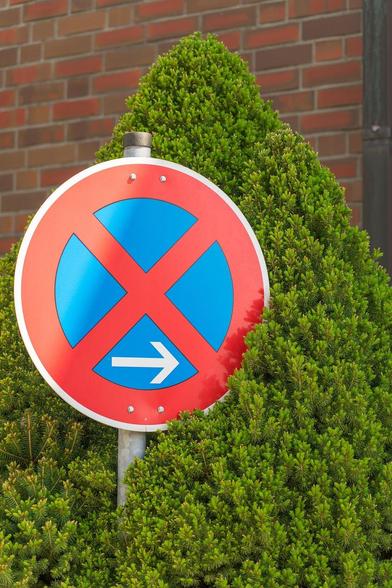 Verkehrsschild absolutes Halteverbot - eingewachsen in Pflanzen