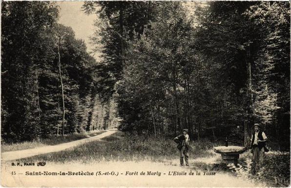 Saint-Nom-la-Breteche - Foret de Marly - L'Etole de la Tasse à #SaintNomlaBretèche (#Yvelines)  #CartePostaleAncienne 👉 https://cartorum.fr/carte-postale/838115/saint-nom-la-breteche-saint-nom-la-breteche-foret-de-marly-letole-de-la-tasse
