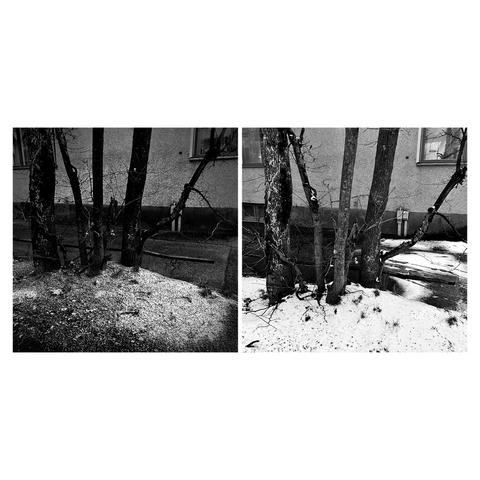 Black and white diptych, showing bare trees against a textured ground with patches of snow near a building. The photographs show the same place two days apart.