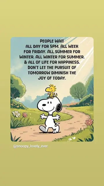 Snoopy wandert fröhlich durch eine sommerliche Landschaft, Woodstock sitzt auf seinem Kopf.
Text: people wait all day for 5pm, all week for Friday, all summer for winter, all winter for summer. And all of life for happiness.
Don't let the pursuit of tomorrow diminish the joy of today.