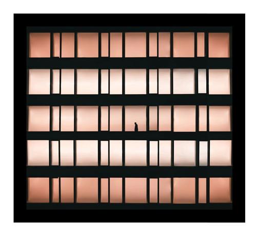 A photo of a rectangular five storey building made of windows with a black frame. The window features a grid of vertical and horizontal black bars. The panes are illuminated in gradient shades of pink and peach. A single small black silhouette of a person, is centered in the middle pane.