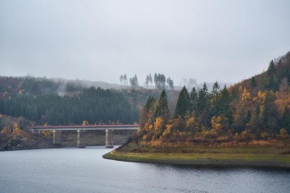 Das Bild zeigt eine neblige, herbstliche Landschaft an einem See oder Stausee.
Vordergrund: Die dunkle, ruhige Wasseroberfläche des Sees dominiert den unteren Teil. Rechts ragt eine Landzunge ins Wasser, deren Ufer mit einer Mischung aus grünen Nadelbäumen und Bäumen mit goldgelbem bis rostbraunem Herbstlaub bewachsen ist. Das Ufer fällt leicht ab.
Mittelgrund: Eine Brücke mit einer hellen (möglicherweise rot oder rostrot abgesetzten) Fahrbahn und massiven Betonpfeilern überspannt die Bucht. Hinter der Brücke erstreckt sich ein dichter, größtenteils dunkelgrüner Nadelwald, der die Hügel auf der gegenüberliegenden Seite bedeckt.
Hintergrund: Die Landschaft verschwindet in einem dichten, grauen Nebel oder Dunst, der über den bewaldeten Hügeln liegt und die Sicht nach hinten stark einschränkt. Einige Baumwipfel ragen aus dem Nebel hervor. Die Stimmung ist insgesamt kühl, ruhig und etwas melancholisch, typisch für einen trüben Tag im späten Herbst.
Die Farbtöne reichen von dem dunklen Blau-Grau des Wassers über das tiefe Grün der Nadelbäume bis hin zu den leuchtenden Gelb- und Brauntönen des Herbstlaubs.