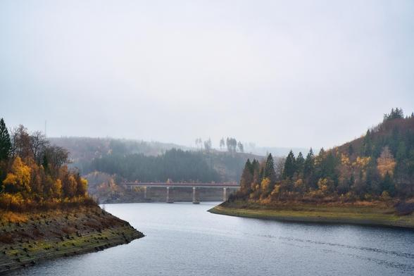 Das Bild zeigt eine weite Aufnahme eines Stausees oder Flusses inmitten einer herbstlich gefärbten, nebligen Waldlandschaft.
Vordergrund: Die glatte, dunkle Wasseroberfläche des Sees füllt den unteren Bildbereich. Sie fließt zwischen zwei deutlich ausgeprägten, bewaldeten Ufern hindurch, die sich links und rechts in die Szene hineinziehen. Die Ufer zeigen eine Mischung aus tiefgrünen Nadelbäumen und Bäumen mit intensivem gelbem, orangem und braunem Herbstlaub. Die Böschungen sind steil und zeigen teilweise exponierte Erde, was auf einen niedrigeren Wasserstand hindeutet.
Mittelgrund: Eine moderne Brücke mit einer hellen Fahrbahn und mehreren robusten, runden Betonpfeilern überspannt das Gewässer in der Ferne.
Hintergrund: Hinter der Brücke erstrecken sich Hügel, die mit einem dichten, dunklen Wald bedeckt sind. Die gesamte hintere Landschaft verschwindet in einem dichten, hellgrauen Nebel oder Dunst, der Himmel und ferne Baumgrenze fast nahtlos ineinander übergehen lässt.
Die Szene vermittelt eine ruhige, kühle und weite Atmosphäre, betont durch das gedämpfte Licht und die melancholischen Herbstfarben.