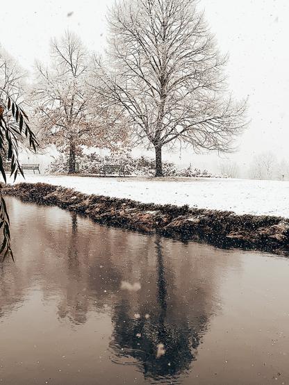 Paisaje nevado; se ven dos grandes árboles en la orilla de un lago; el agua parece negra y refleja esos mismos árboles como si se duplicaran hacia abajo.