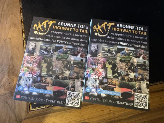 Deux paquets de flyers disant : "Abonne-toi à Highway To Tail et apprends l'art ancestral de la maîtrise du cringe dans une bête émission furry sur youtube !"
