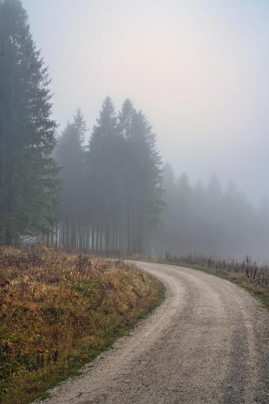 Atmosphärische Herbststimmung im Nebel
Das Bild zeigt eine ruhige, fast mystische Landschaftsaufnahme, die von dichtem Nebel und einem einsamen Waldweg dominiert wird.
Die Schlüsselelemente:
Der Weg: Ein heller Schotterweg führt vom rechten unteren Bildrand in einem sanften Bogen nach links in die Tiefe des Bildes hinein. Die Textur des Weges ist steinig und uneben, was auf eine abgelegene Gegend hindeutet.
Der Wald: Auf der linken Seite des Weges ragen hohe, dunkle Nadelbäume (wahrscheinlich Fichten oder Tannen) empor. Sie bilden eine fast schwarze Silhouette gegen den hellen Nebel. Je weiter die Bäume in den Hintergrund rücken, desto mehr verschwimmen sie und werden zu grauen Schemen ("Staffelung der Tiefe").
Die Vegetation: Im Vordergrund links neben dem Weg wachsen wilde, vertrocknete Gräser, Kräuter und struppiges Gebüsch. Die Farben sind hier herbstlich geprägt – Brauntöne, Ocker und verblichenes Gelb dominieren, durchmischt mit letzten grünen Akzenten.
Der Nebel: Das bestimmende Element des Bildes ist der dichte, weiß-graue Nebel. Er verschluckt den Horizont vollständig und lässt den Weg im Nichts enden. Das Licht wirkt dadurch sehr weich und diffus; es gibt keine harten Schatten.
Stimmung und Wirkung:
Das Bild strahlt eine tiefe Stille und Melancholie aus. Es wirkt kühl und feucht, typisch für einen späten Herbsttag oder einen frühen Wintermorgen. Die Komposition führt das Auge des Betrachters den Weg entlang in das Ungewisse, was ein Gefühl von Einsamkeit, aber auch 
