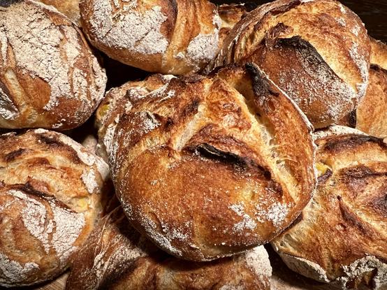 Auf einem dunklen Holztisch liegt ein Holzbrett. Darauf liegen zahlreiche frisch gebackene Brötchen mit rustikalem Ausbund.