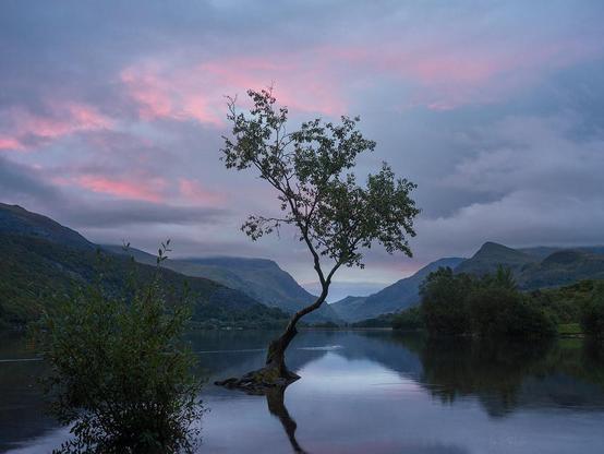 First morning in Snowdonia - Had to be sunrise at this pretty famous lone tree, which happened to be about 5 miles from the cottage that we were staying in..... I thought being a Thursday it would be pretty quiet - as it happened, someone was running a photography workshop there that morning, but I managed to squeeze myself in along the small shoreline and made the most what I could get!!

A7Riii - 35GM