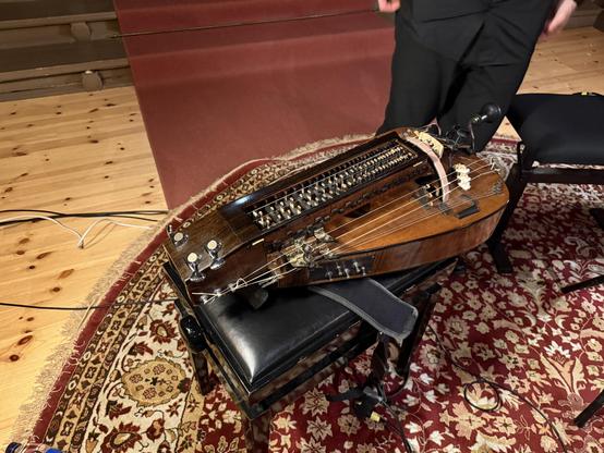 Closeup photo of a hurdy gurdy with 17 strings.