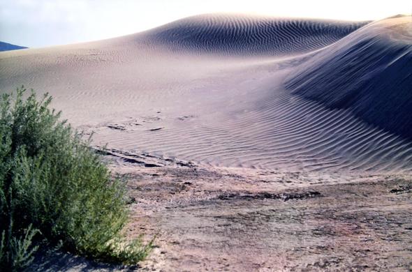 Beneath a whitewashed late afternoon sky, we are standing on an old dried up lake bed of cracked pinkish beige packed sand. To our left is an olive colored shrub. Ahead are two large dunes of that same pinkish beige sand piled high above our heads. There are ripples and creases along parts of the dunes, carved by the winds that formed them.
