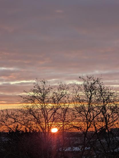 Foto vom Balkon Richtung SüdOst.
Hinter kahlen Baumkronen geht die Sonne auf. Der Himmel ist von Hochnebel bedeckt, der im unteren Bereich orange eingefärbt ist.