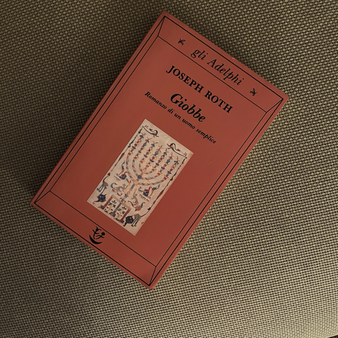 Libro Giobbe di Roth