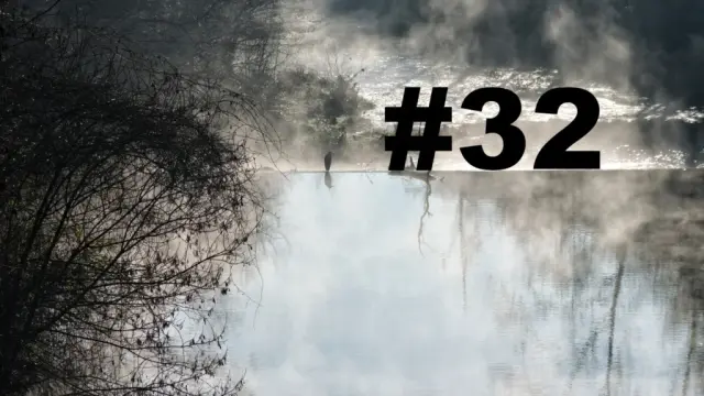 Un oiseau posé sur le bord d'une petite cascade sur un cours d'eau. Un arbre sur la gauche. Au-dessus de l'eau, des brumes de vapeurs. L'eau au premier plan semble sans mouvement, tandis qu'après la cascade le cours d'eau se transforme en torrent. Sur la droite le numéro de la chronique précédé d'un dièse.