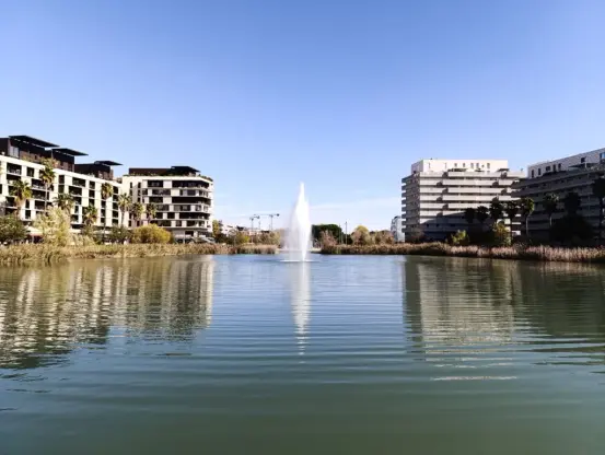 Un grand plan d'eau urbain à Montpellier avec un jet d'eau central, entouré de bâtiments modernes et de palmiers, sous un ciel clair et ensoleillé.