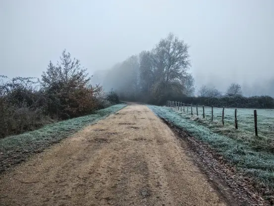 Chemin campagne recouvert de blanc givré