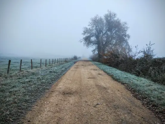 Chemin de campagne recouvert de blanc givré