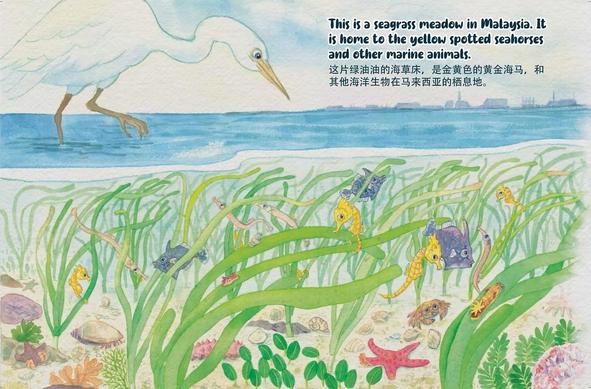 Two-page spread from the book, with an underwater view of the seagrass meadow teeming with diverse plant and animal life, and an above-water view of a distant city, and a bird stepping through the water and eyeing the small  creatures below. The text reads: "This is a seagrass meadow in Malaysia. It is home to the yellow spotted seahorse and other marine animals."