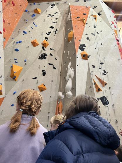 Mädchen mit Rücken zur Kamera vor Sportkletterwand.