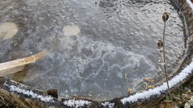Ice on garden pond
