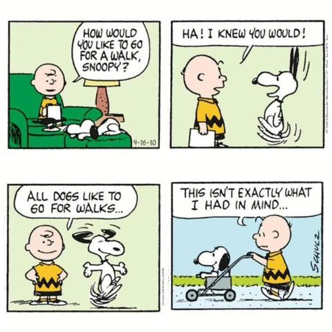 A four-panel Peanuts comic strip. Panel 1: Charlie Brown sits on a couch next to Snoopy and asks, "How would you like to go for a walk, Snoopy?" Panel 2: Snoopy excitedly jumps up and Charlie says, "Ha! I knew you would!" Panel 3: Charlie Brown and Snoopy stand outside as Charlie reflects, "All dogs like to go for walks..." while Snoopy dances excitedly. Panel 4: Charlie is pushing Snoopy along in a buggy as he says, "This isn't exactly what I had in mind..."