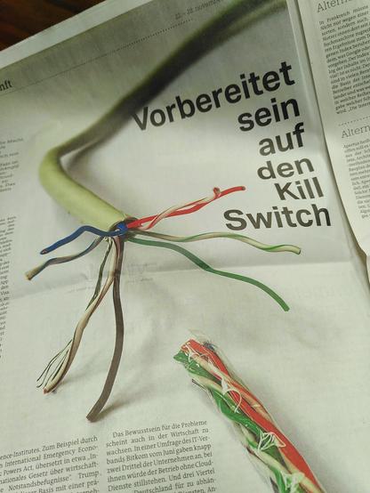 Das Foto zum Artikel zeigt eine durchtrennte Stromleitung