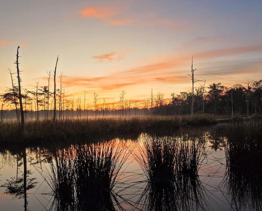 Colorful sunrise over a wetland landscape and waterway with the bright shades of yellow, orange,  and pink across the blue morning sky casting reflections upon the calm water below.