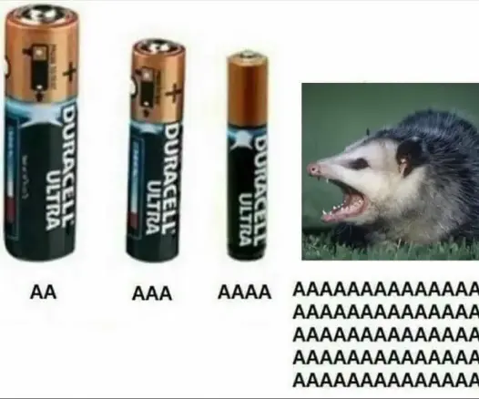 A comparison meme, four items across from the left, a larger AA battery, smaller AAA battery, even smaller AAAA, and then a smol opossum screaming AAAAAAAAAAAAAAAAA
