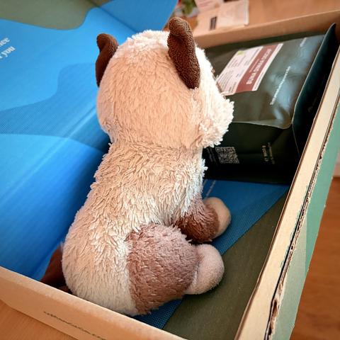English: A plush cat, Grumpy Cat, sits in an open cardboard box next to a dark green package of coffee. The box shows blue and green colors.

Deutsch: Eine Plüschkatze, Grumpy Cat, sitzt in einem offenen Karton neben einer dunkelgrünen Packung Kaffee. Der Karton ist blau und grün.