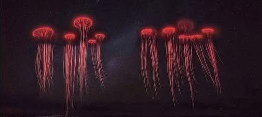 Photo of Red Sprite lightening.

Red Sprites are named for their #jellyfish-like appearance and vivid red flashes