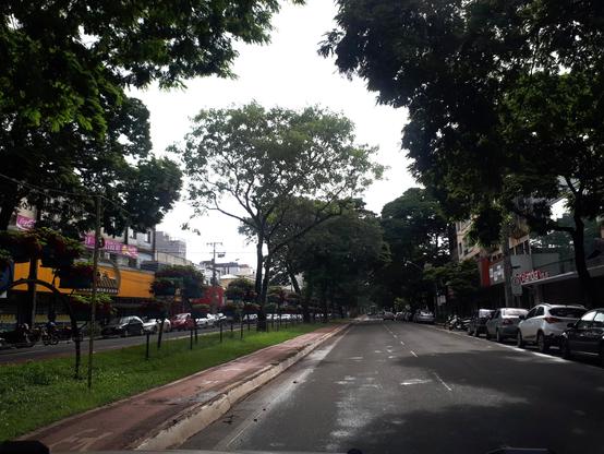 Foto em um dia nublado da Avenida Brasil, centro de Maringá, Norte do Paraná, tirada a bordo de um veículo trafegando pela faixa da esquerda da via asfaltada que possui duas faixas em cada sentido, com largo canteiro central gramado e arborizado (onde antigamente também se estacionava). O canteiro central contém ciclovias separadas com cada sentido à esquerda da respectiva pista de rolamento de veículos. Exibem-se muitas frondosas árvores também nas calçadas, cujas copas que frequentemente formam túneis verdes. Carros estão estacionados à direita de cada sentido da via.