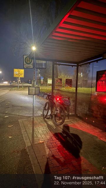 Ein geparktes Fahrrad steht an einer Bushaltestelle an einer schwach beleuchteten Straße. Die Szene fängt die Abendatmosphäre ein, mit Straßenschildern und Anzeigen in der Nähe. Schatten werden auf den Boden geworfen und gefallene Blätter sind verstreut.