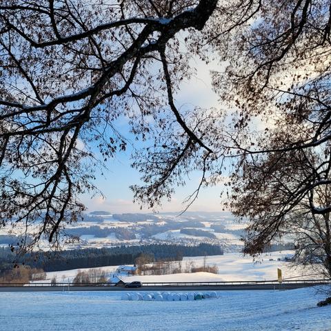 Verschneite Wiesen und Berge mit Dörfern. Von unter einem Baum fotografiert.