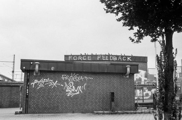 Schwarz-weiß-Fotografie eines kleinen Backsteingebäudes mit Graffiti und dem Schriftzug 'FORCE FEEDBACK' auf dem Dach, darüber sitzen eine Reihe Tauben, rechts ein Baum.