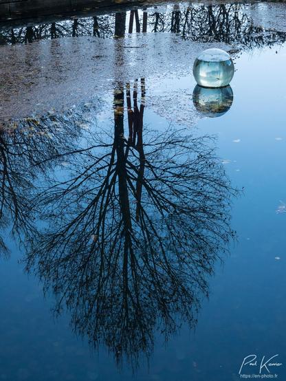 Photographie en format vertical captée en fin de journée, entre chien et loup, présentant le reflet d'un arbre, pratiquement dépourvu de feuilles en cette fin de novembre, à la surface d'un bassin, très calme.
S'agissant d'un reflet, la cime de l'arbre est évidemment en bas du cadrage. Une sphère, pratiquement remplie d'eau, qui faisait partie d'une ancienne installation, est toujours positionnée à la surface à droite du reflet de l'arbre, alors qu'en haut du cadrage, des feuilles flottant à la surface amoindrissent la netteté du reflet.
Pratiquement toute la photo est d'une coloration bleue ardoise foncée.