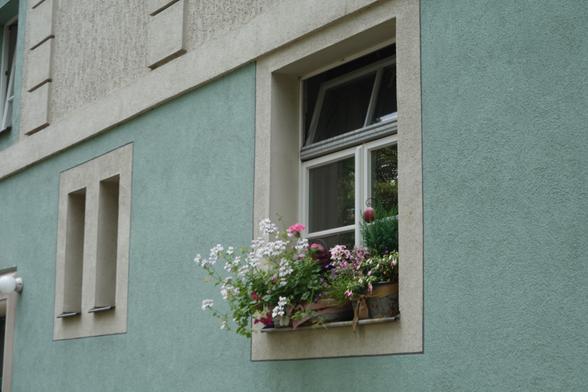 Minz-blaue Wand, bunte Bepflanzung