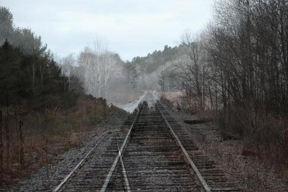 Two train tracks crossing each other and leading into the distance. Trees allong the tracks, the ground is dusted with snow.