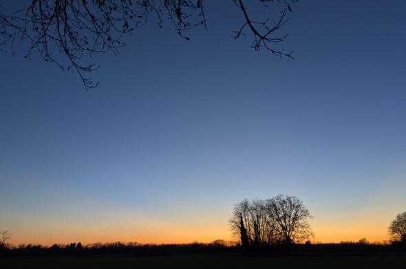 Il tramonto nell'immagine è caratterizzato da un cielo con una magnifica e brillante sfumatura di colori. La parte superiore del cielo è di un profondo blu, che sfuma gradualmente verso l'orizzonte in tonalità calde di arancione e giallo. 
La transizione cromatica crea un'atmosfera spettacolare e calma.
Una fila di alberi e vegetazione si staglia in silhouette scura contro la luce intensa del sole che tramonta, delineando chiaramente l'orizzonte.