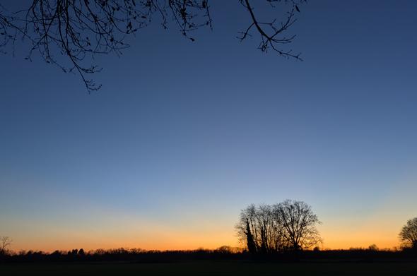 Il tramonto nell'immagine è caratterizzato da un cielo con una magnifica e brillante sfumatura di colori. La parte superiore del cielo è di un profondo blu, che sfuma gradualmente verso l'orizzonte in tonalità calde di arancione e giallo. 
La transizione cromatica crea un'atmosfera spettacolare e calma.
Una fila di alberi e vegetazione si staglia in silhouette scura contro la luce intensa del sole che tramonta, delineando chiaramente l'orizzonte.