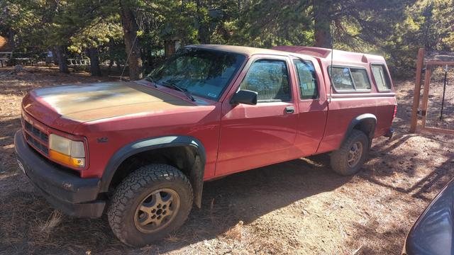 A red and weathered 1996 Dakota, parked in a yard. The truck is in pretty good shape for being around 30 years old, but it does need quite a bit of attention. Especially noticable is the front driver's side wheel, which is tilted aggressively outward at the top due to incorrect suspension components being used by the previous owner.