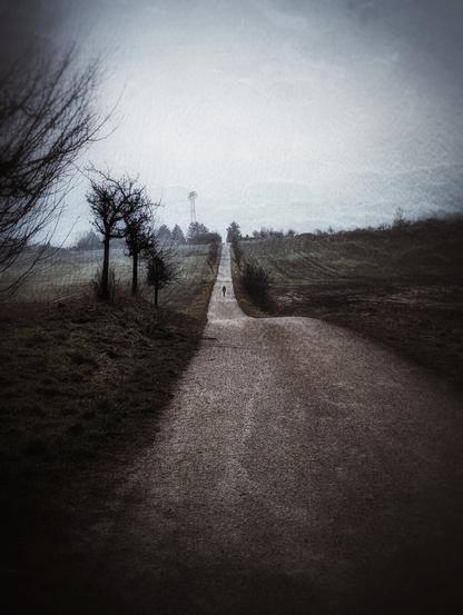 A moody, atmospheric and grainy photograph of a long, straight path stretching into the distance. The path is flanked by leafless trees and sparse vegetation, creating a sense of solitude. In the far distance, a lone figure walks along the path, adding a sense of scale and mystery. The sky is overcast, casting a muted, greyish light over the scene, which enhances the overall melancholic and contemplative mood. The landscape appears open and rural, with gentle hills and fields visible on either side of the path. The image is rendered in a slightly desaturated, high-contrast style, emphasising the textures of the gravel and the silhouettes of the trees.
