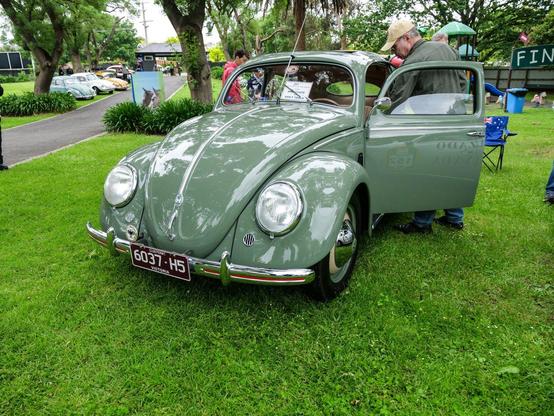VW Beetle