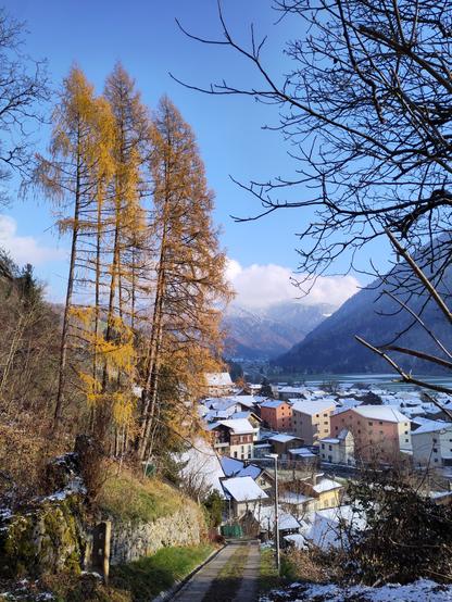 Foto. Berglandschaft mit Dorf und gelben Nadelbäumen.
